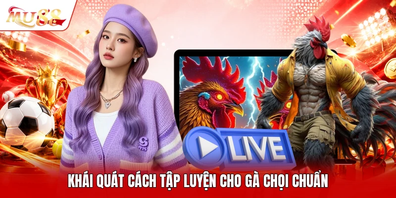 Khái quát cách tập luyện cho gà chọi chuẩn