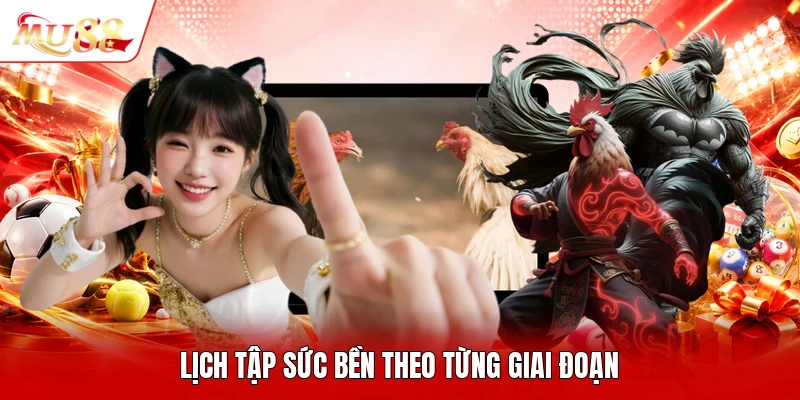 Lịch tập sức bền theo từng giai đoạn