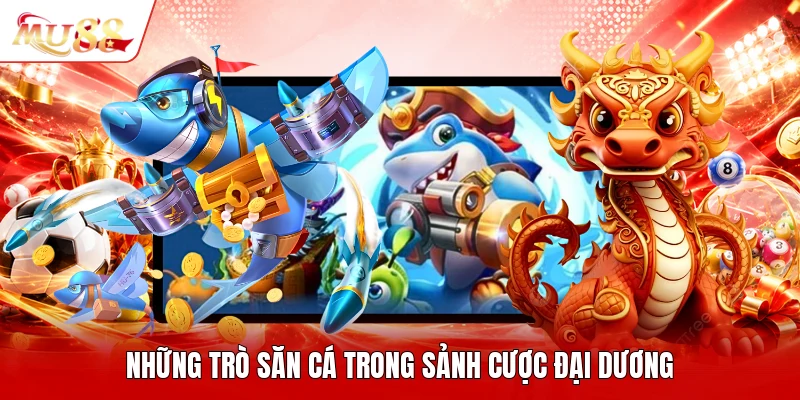 Những trò săn cá trong sảnh cược đại dương